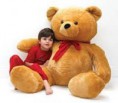 /album/productos/images-4-jpg/